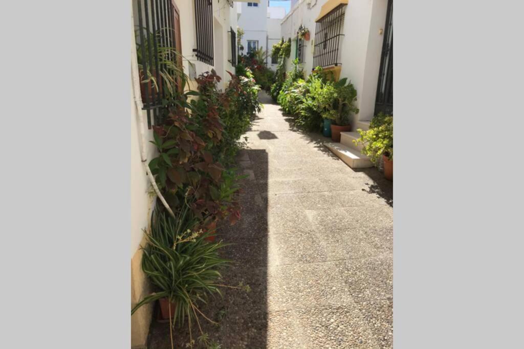 Apartamento Con Azotea Privada Para Parejas Y Familias Conil De La Frontera Luaran gambar